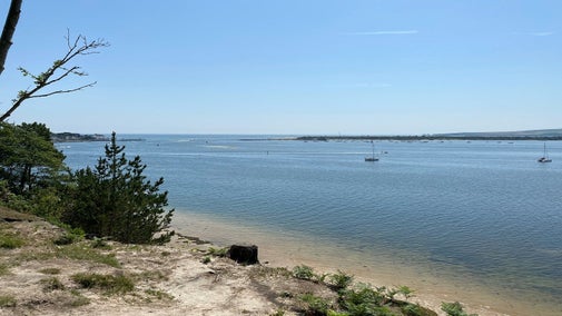 A beach on Brownsea Island, Dorest